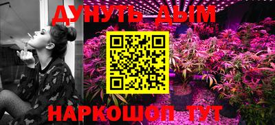 мдпв Рыбинск