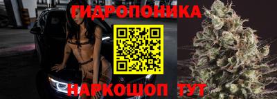 мдпв Рыбинск