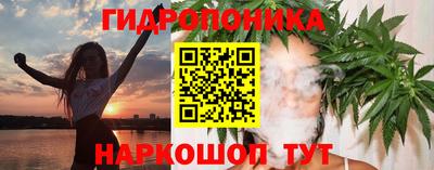 spice Рязань